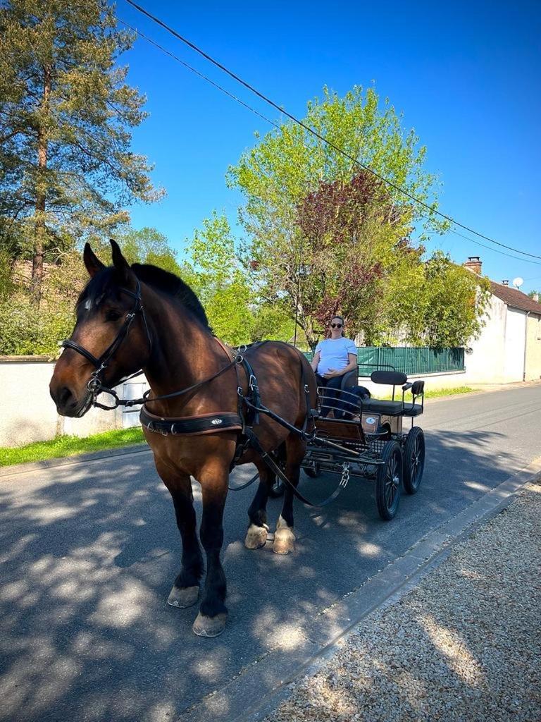 فندق Le Gite De Gaia Villemer  المظهر الخارجي الصورة